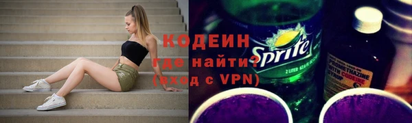 прущая мука Вяземский