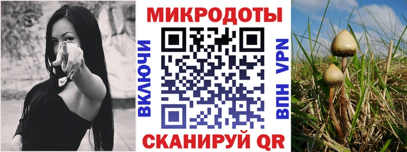 Псилоцибиновые грибы ЛСД  Дальнереченск 